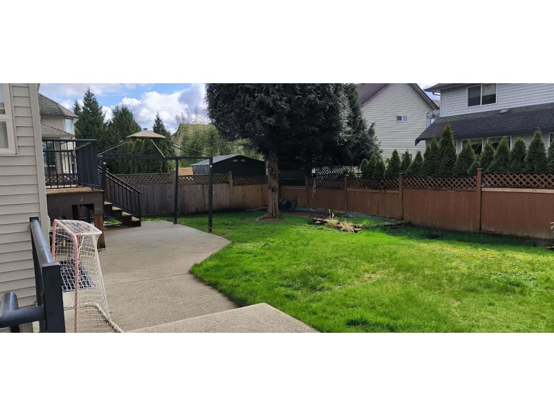 260426164343_house back yard.jpg